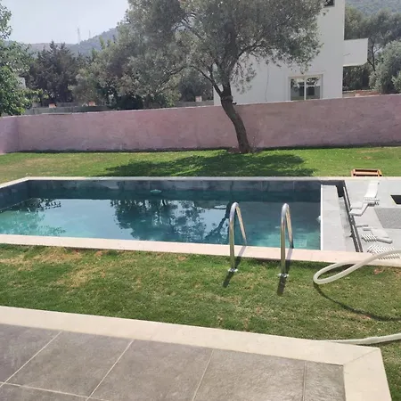 Woll-zeytin Hotell