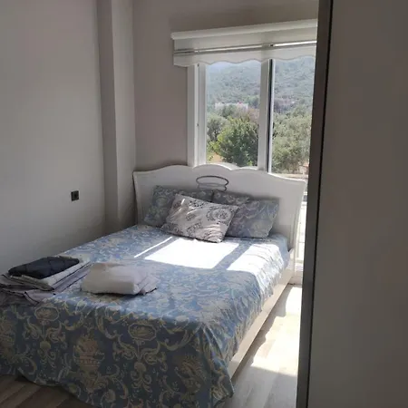 Hotel Woll-zeytin